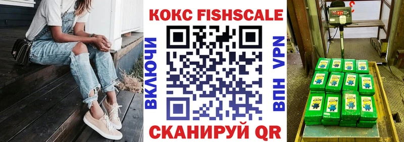Cocaine FishScale  Купить закладки  Апатиты 