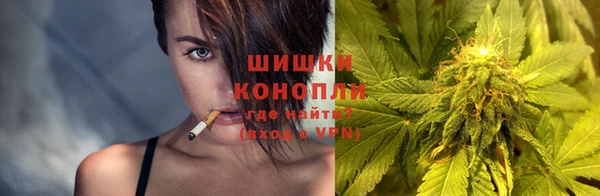 дмт Белокуриха