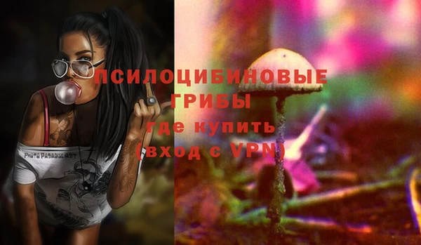 2c-b Беломорск