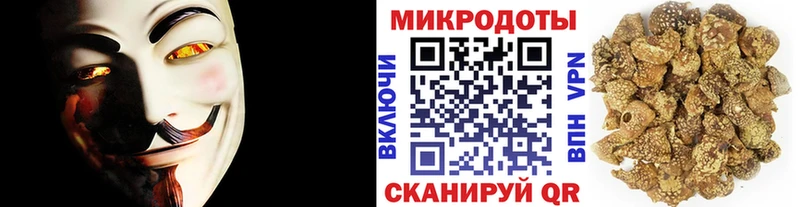 Галлюциногенные грибы MAGIC MUSHROOMS Апатиты